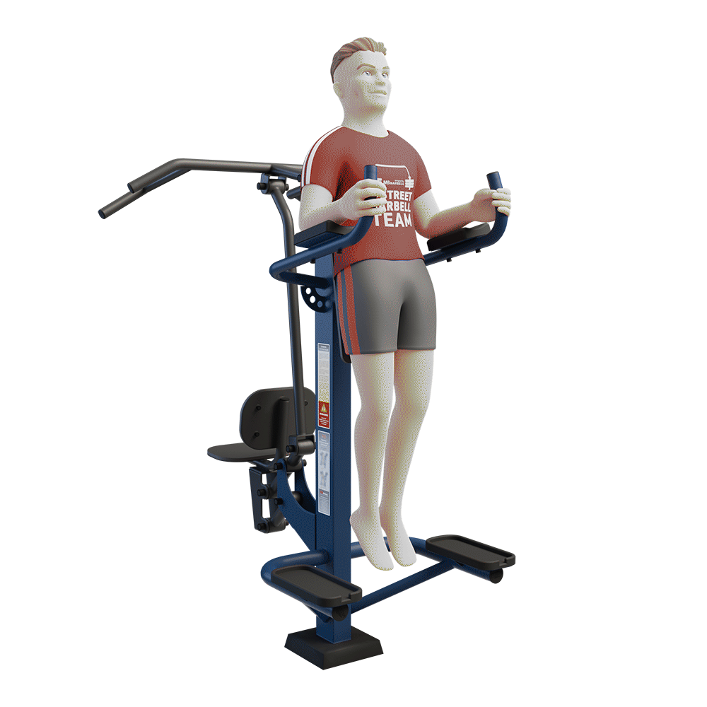 MB 7.03 - Duet / Combined Pull Down and Leg Raise Station