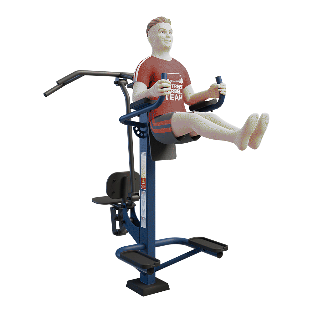 MB 7.03 - Duet / Combined Pull Down and Leg Raise Station
