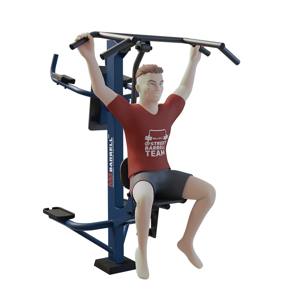 MB 7.03 - Duet / Combined Pull Down and Leg Raise Station