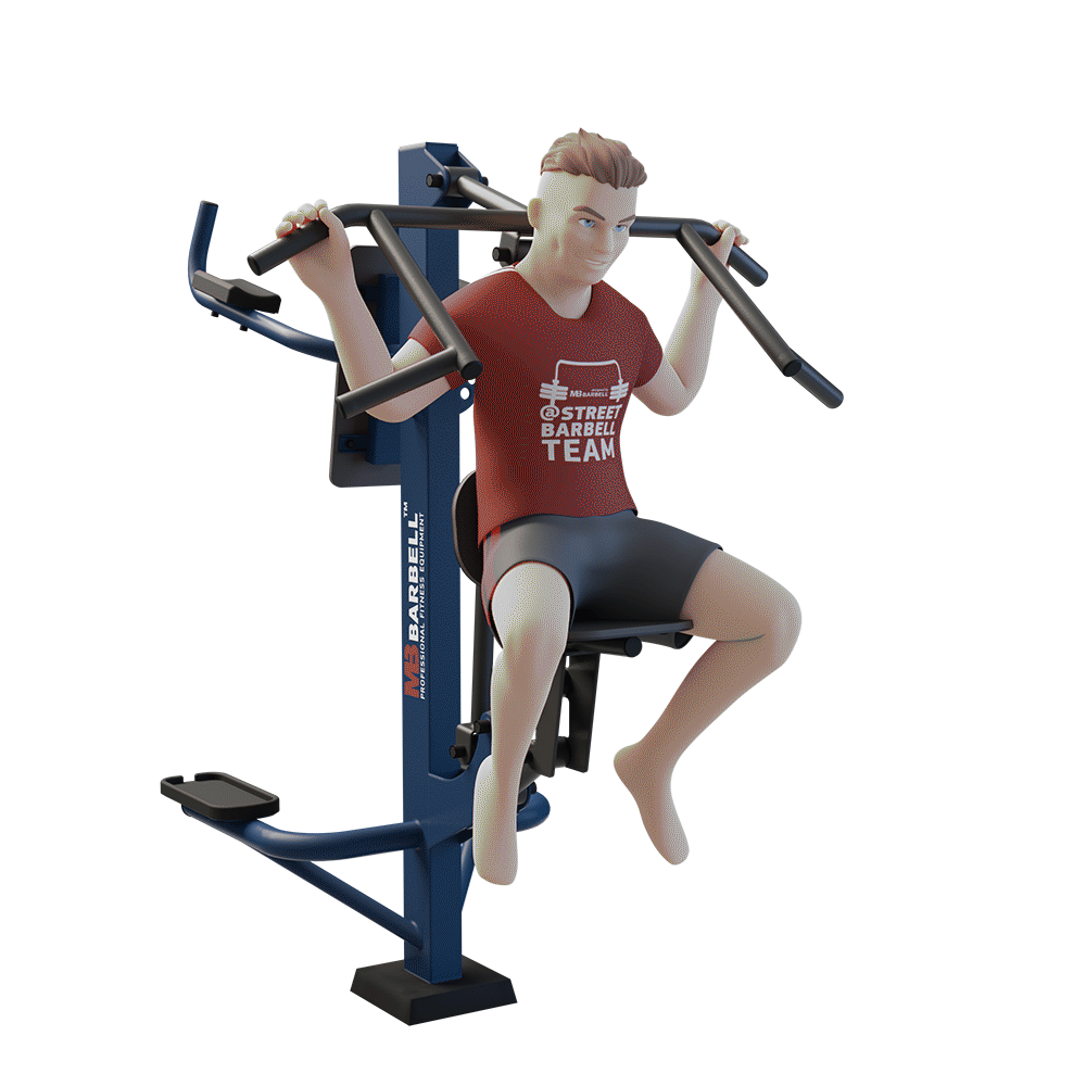 MB 7.03 - Duet / Combined Pull Down and Leg Raise Station