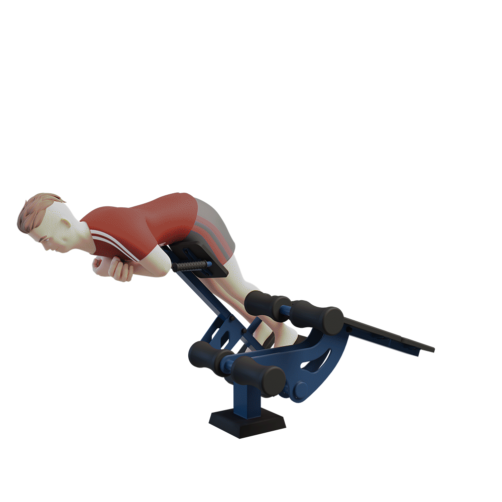 MB 7.13 - Presă (unghi de înclinație +20°) + Hyperextensie