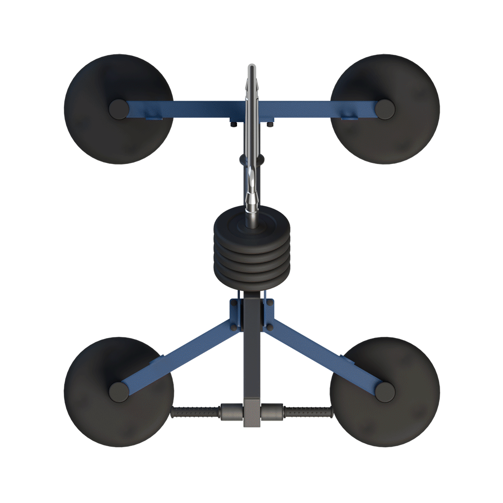 MB 7.69 - Tracțiuni pentru triceps