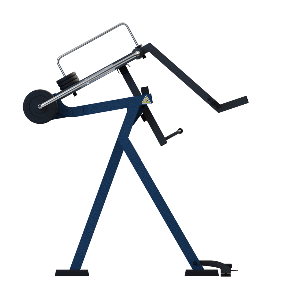 MB 7.40 -  Genuflexiuni (Squat)