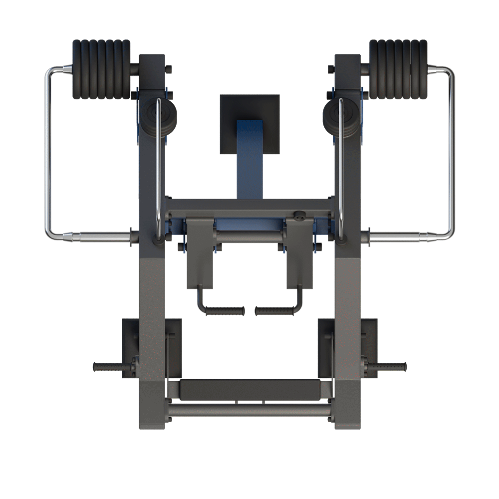 MB 7.40 -  Genuflexiuni (Squat)