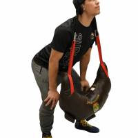 Bulgarian Bag - Head Harness