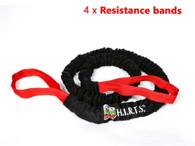 H.I.R.T.S. *Battler (3-в-1)